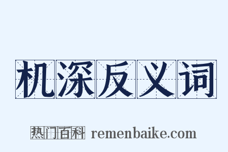 机深反义词是什么意思的图片